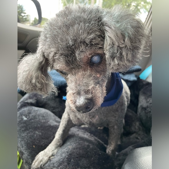 Like and FOLLOW for Giveaway! TT TV Live Tag it up with Me๐๐บ๐ฅโ๏ธ - Picture 10 of 14